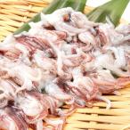 . земля. король yali кальмар ..20 листов ( суши шуточный товар * sashimi для кальмар geso.. внизу пара кальмар внизу пара )