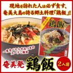 タイセイ観光　奄美鶏飯2人前