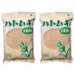  - Tom gi цельнозерновая мука 300g x 2 пакет комплект ( не . производства бусенник .. порошок,. моти тест иметь целью . порошок )