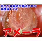  Shizuoka производство помидор Ame -la1kg 8~12 шт несессер входить 