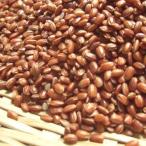  красный рис - Shiga префектура производство местного производства (500g)