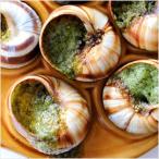  Escargo a Rav ruginiyon30 шарик входить ( масло ввод Escargo )