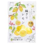 南信州菓子工房 国産輪切りレモン 24g ×10袋
