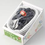  виноград новый pio-ne красный превосходящий 1. примерно 600g×1. Okayama префектура производство JA...... виноград 