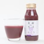  фруктовое дерево есть жизнь виноград сок 180ml×20шт.@(..100%)