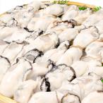 . земля. король устрица сырая устрица 1kg.. после 850g сырой еда для рефрижератор ..... сырой еда возможность 