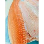  первоклассный premium salmon 1kgnoru way производство Atlantic salmon 
