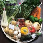  клубень магазин ... овощи комплект Ibaraki префектура * Chiba префектура производство сельское хозяйство дом san прямая поставка овощи 10 товар лето прохладный рейс соответствует ( овощи только )