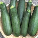 ズッキーニ 5kg 沖縄県産