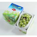  виноград автомобиль in мускат .. красный превосходящий примерно 600g×1. Okayama префектура производство .. виноград 