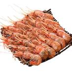 . обеденный .. похоже креветка Botan shrimp 1kg 500g×2 примерно 22-24 хвост ввод sashimi подарок 