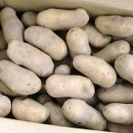  время от времени отправка средний картофель me-k in 5kg L размер Hokkaido овощи jagaimo