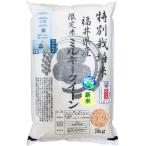 3 минут .. Milky Queen 5kg. пестициды * нет химия удобрение культивирование . мир 7 год Fukui префектура производство специальный культивирование рис 
