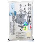  белый рис Milky Queen 5kg. пестициды * нет химия удобрение культивирование . мир 7 год Fukui префектура производство специальный культивирование рис 