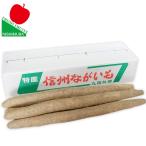  китайский ямс батат ...... клубень Toro ro Nagano префектура производство 10kg местного производства производство земля из .. длина .. для подарок запад . синий .