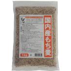  вид quotient внутренний производство мочи муги ( большой simochi) 1kg
