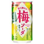  Sangaria аромат освежение слива soda 190g ×30шт.