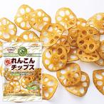  renkon chip s35g