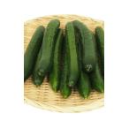 bejitabru Heart огурец 2kg передний и задний (до и после) низкий пестициды культивирование 