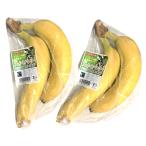  без добавок иметь машина banana примерно 500g×2 упаковка < каждую неделю понедельник * пятница. поступление ., доставка до время стоит >* лето : прохладный рейс,11 месяц ~4 месяц обычная температура рейс * Южная Америка производство 