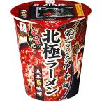 【販路限定品】日清食品 味噌 蒙古タンメン中本 北極ラーメン 117g×12個