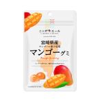  все сельское хозяйство Miyazaki префектура производство манго gmi40g×10 пакет 