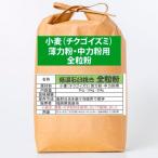 [OREC]chikgoizmi цельнозерновая мука ( средний сила мука ) (5kg)l. гарантия сельское хозяйство . Fukuoka префектура производство цельнозерновая мука ..... мука незначительный сила мука средний сила мука пшеница мука для бизнеса местного производства внутренний производство Kyushu производство 