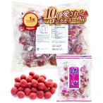 ムラオカ 梅しば業務用サイズ 1kg カリカリ梅(オンライン限定品) 村岡食品 大容量 個包装 徳用