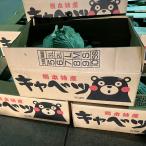 vegepple капуста 1 коробка Kumamoto префектура производство Kyushu каждый земля производство Kyushu овощи коробка . массовая закупка -слойный хочет багаж. ..........