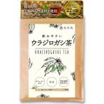 喜保屋 飲みやすい ウラジロガシ茶 3g×30包 【国産/無農薬】 ティーバッグ 水出し可能 ノンカフェイン 国内製造 農薬残留検査実施済み