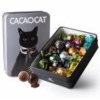 CACAOCATkakao кошка Mix 14 штук входит подарок подарок .. для шоколад симпатичный кошка (CAT)
