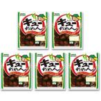  Tokai солености tsukemono огурец. кий Chan 90g×5 пакет 