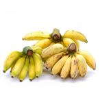  Okinawa префектура производство banana ( эта день ... сделал banana . доставка )[ распродажа : Okinawa ..](2kg)
