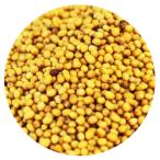 olientaru горчица si-do100g Canada производство Canada No,1 комплектация Home meido горчица специя Oriental mustard seed