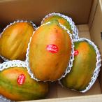  фрукты папайя камень . коралл примерно 1.5 kilo (2 из 4 шар )*kse. нет освежение . способ тест 