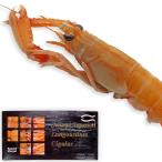  европейский ska mpi1kg ввод, 8~12 хвост, Lange s чай n, красный The креветка 