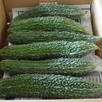 JA.. вместе выбор горький огурец -3kg примерно 8?14 шт. входит . Tochigi префектура производство момордика харанция .... горький огурец Ray si.. горький огурец Champ ru. для бытового использования для бизнеса обычная температура 