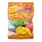u..-..gmi... фрукты ju-si- Okinawa префектура производство фрукты .. использование . земля производство 40g манго 10 пакет наклейка имеется 