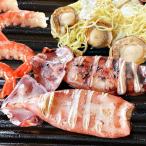 рыба . морепродукты барбекю комплект 3 вид 15 товар морепродукты комплект BBQ комплект .. креветка кальмар рефрижератор 