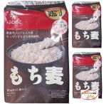  массовая закупка. ... мочи муги .. .50g×12 пакет ×3 шт. комплект небольшое количество . модель клетчатка изобилие [ официальный * sunshine план ]