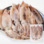 [ север. блок из ] Hokkaido . пол производство тихоокеанский кальмар 1kg (10 кубок передний и задний (до и после) ). натуральный рефрижератор кальмар .... сырой кальмар кулинария для для бытового использования 
