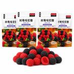  Mix Berry gmi40g×4 пакет комплект красный чёрный Mix laz Berry способ тест мягкие конфеты маленький пакет модель моти моти еда чувство закуска доля для переносной кекс te