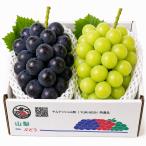  Yamanashi префектура производство черный свекла & автомобиль in мускат каждый 1.1.2kg и больше большой .2. комплект вид нет виноград еда . сравнение подарок прямая поставка от производителя [YUM NOSH гора 
