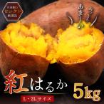 先行予約・期間限定 兵庫県産 紅はるか 丹波篠山産 L・2L混合 約 5kg さつまいも さつま芋 サツマイモ 芋 いも べにはるか 焼き芋 おやつ ブランド 国産