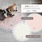 [�R�R�A�g��]  �h�J�L���e�B���O �t�������E���h �J�t�F�}�b�g �� cocoAtoi �I���W�i�� ���{�� ����