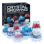 実験 工作 キット すくすく結晶育成キット大 ４M/フォーエム 子供 小学生 中学生 自由研究 夏休み
