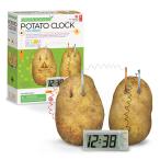 実験 工作 キット エコサイエンス じゃがいも時計 ４M/フォーエム 子供 小学生 中学生 自由研究 夏休み