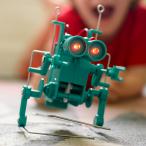 実験 工作 キット ロボット工学 へんてこロボット ４M/フォーエム 子供 小学生 中学生 自由研究 夏休み