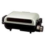  Toshiba TOSHIBA FG-10B-NE решётка & рыба жаровня золотистый, цвет шампанского новый товар бесплатная доставка 