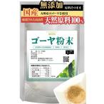 ゴーヤ 粉末 100g 約1ヶ月分 健康市場